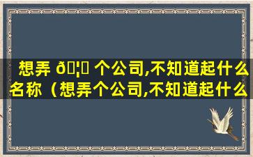 想弄 🦆 个公司,不知道起什么名称（想弄个公司,不知道起什么名称的名字）